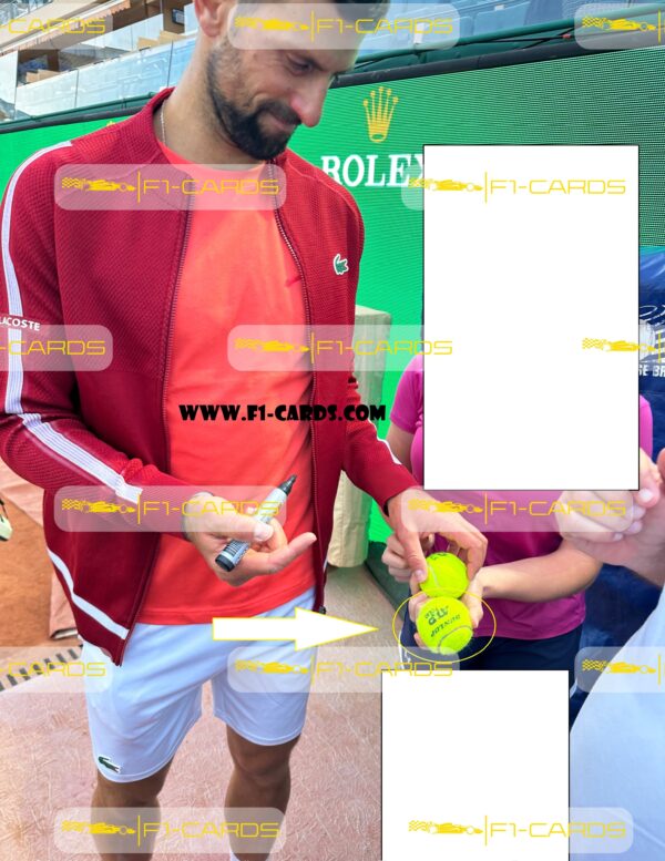 Official tennis ball "2025 ATP 1000 Monte-Carlo Masters"  signed by Novak Djokovic