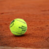 Official tennis ball "2025 ATP 1000 Monte-Carlo Masters"  signed by Novak Djokovic