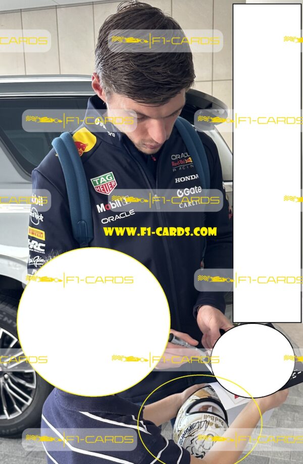 Max Verstappen signed scale model helmet 2024 World Champion