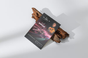 Autograph card 2025 Qatar GP signed by Lando Norris