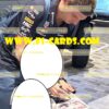 Poster. 2025 Japanese GP Winner - signed by driver Max Verstappen