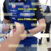 Max Verstappen signed scale model helmet 2024 Season
